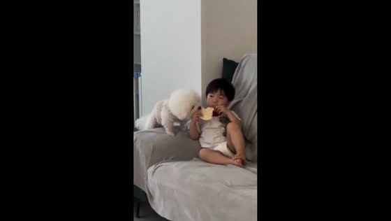 Toddler and puppy share chip from both ends in Seoul, South Korea