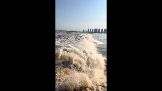 Unexpected wave splashes seaside visitors in Zhejiang, China