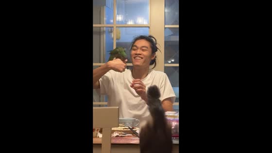 Bird pecks a cat’s mouth when its owner brings them face to face in Hangzhou, China