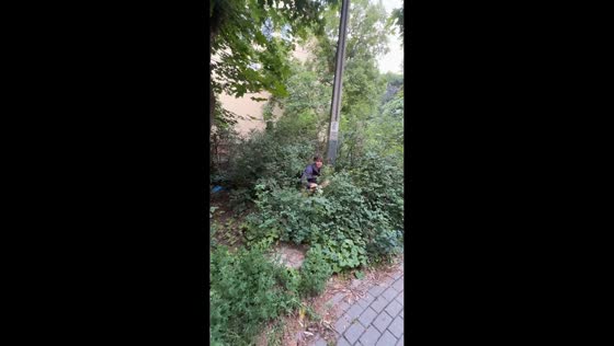 Teen falls from utility pole into bushes in Sopot, Poland