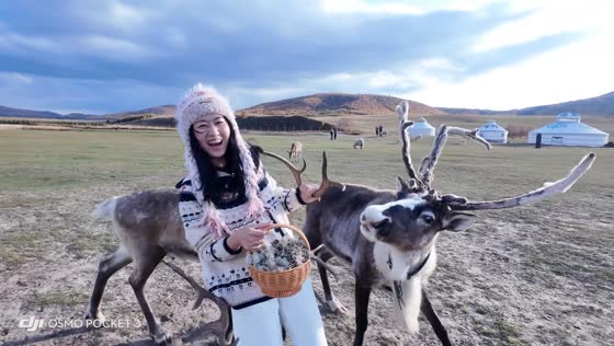 Playful reindeer chases young girl’s food basket in Guangxi, China