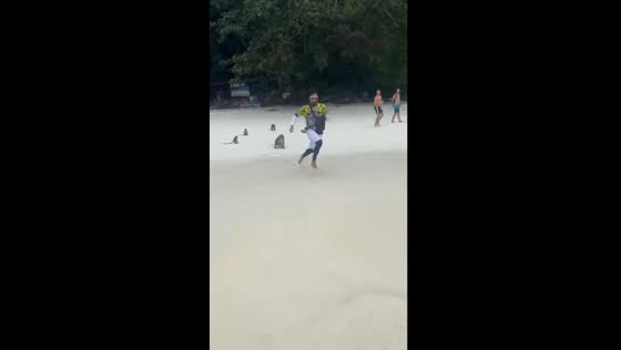 Monkeys defend their own: dramatic chase unfolds as man flees after attacking baby monkey 