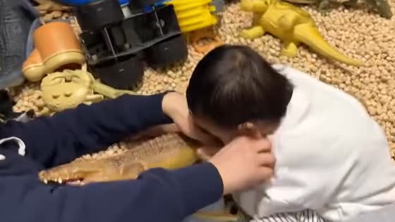 Child tries to rescue dad from toy crocodile