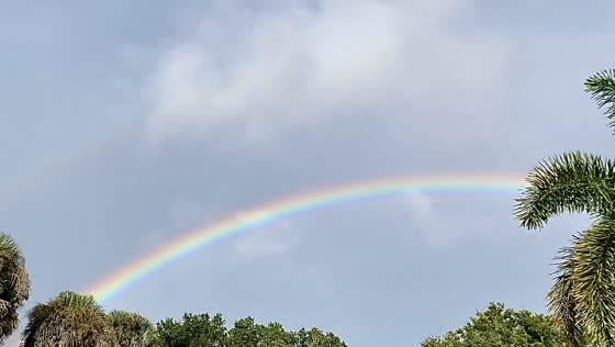 Stunning rainbow brightens the sky after showers in Florida, USA