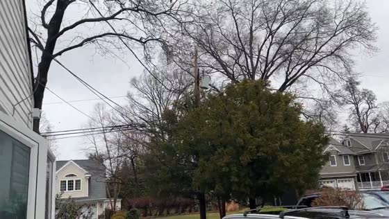 Strong cold front brings damaging wind gusts to New Jersey, USA