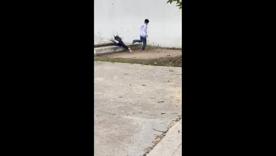 Woman trips while chasing man in Rosario, Argentina