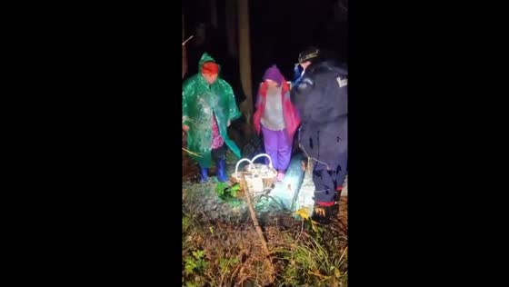 Lost mushroom pickers rescued with 'Katyusha' song in Moscow forest