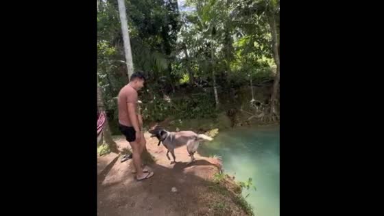 The dog doesn't let the owner into the water!