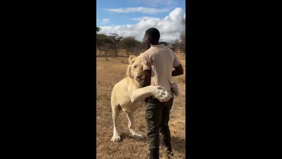 Man shares heartwarming bond with lions in Kilimanjaro, Tanzania