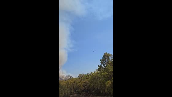Firefighting plane battles Dale Fire near Aguanga, California, USA