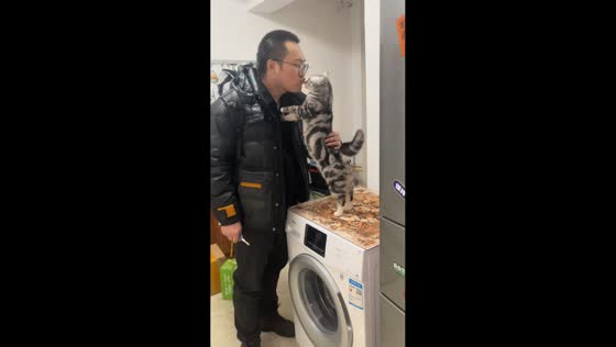 Pet cat shows affection to owner in Inner Mongolia, China