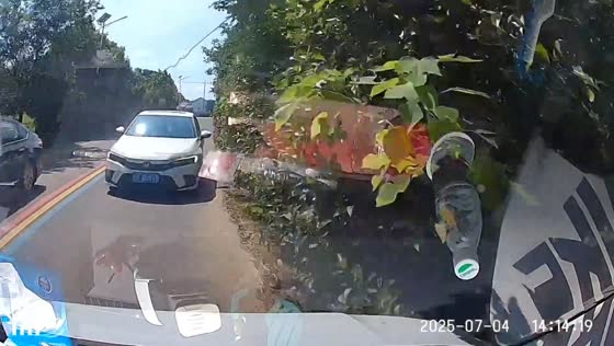 Dashcam captures head-on collision during overtaking attempt in Anhui, China