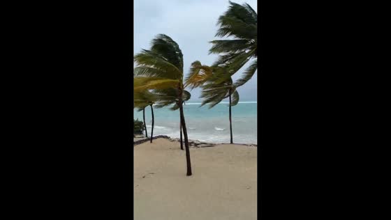 Strong winds from Storm Melissa lash Ocho Rios, Jamaica