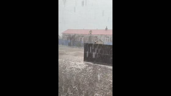 Severe hailstorm blankets yard in Heilongjiang, China