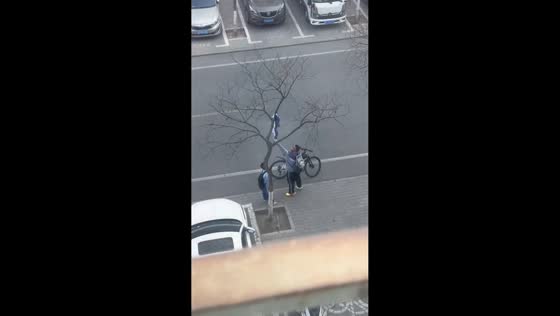 Cyclist helps boy retrieve clothes stuck in tree in Gansu, China