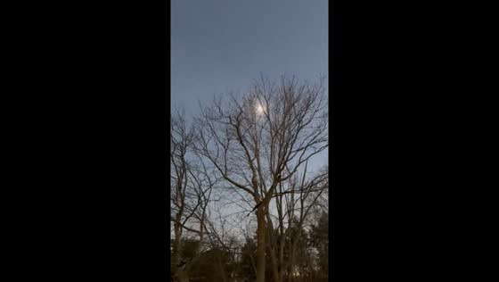Montreal eclipse spectacle: a journey through darkness