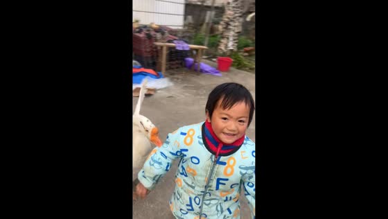 Goose chases and grabs child's clothes before letting go in Jiangxi, China