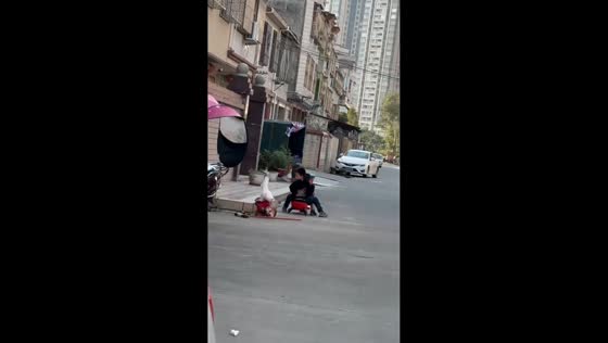 Older brother helps sibling after fall in Guangzhou, China