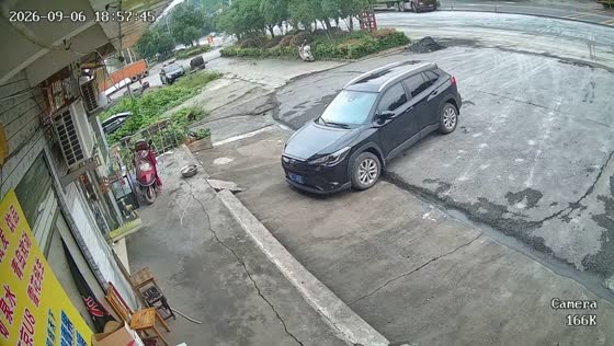 Woman rushes to help after spotting truck wheel on fire in Hunan, China