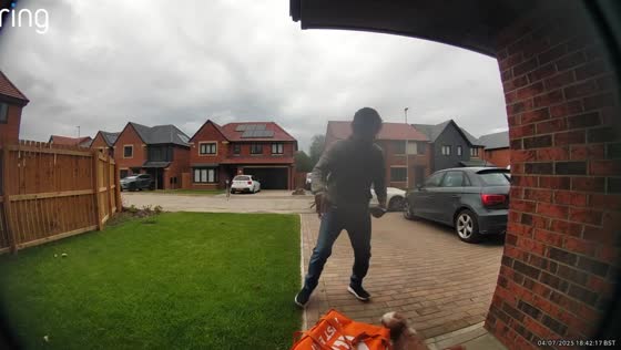Playful dog gives delivery man a scare in Middlesbrough, England
