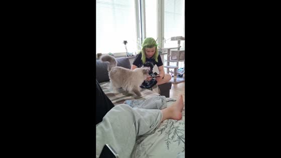 Curious cat can't resist girl's bright green hair in Stockholm, Sweden