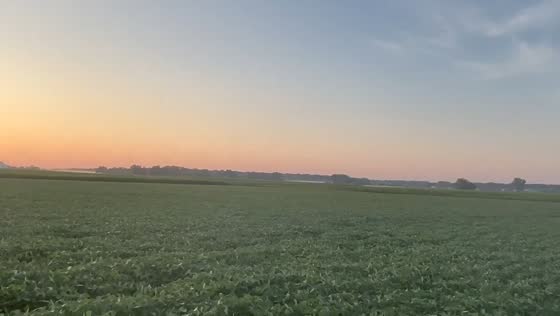 Light fog observed in Vickery, Ohio before dawn