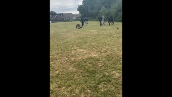 Father falls during sports day race in Bolton, England, UK