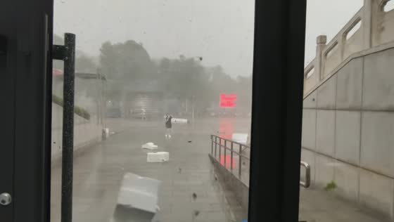 Strong winds and heavy rain sweep through university campus in Shijiazhuang, Hebei, China