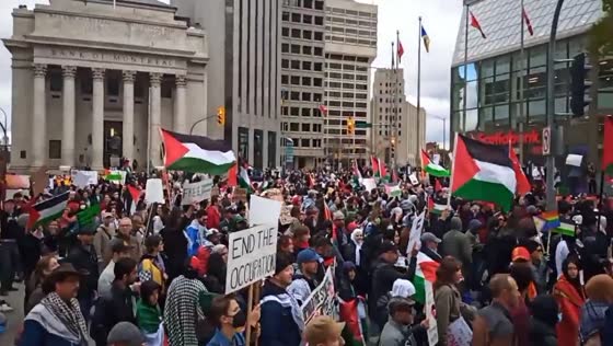 Protesters in Winnipeg show solidarity with Palestine amidst Gaza conflict
