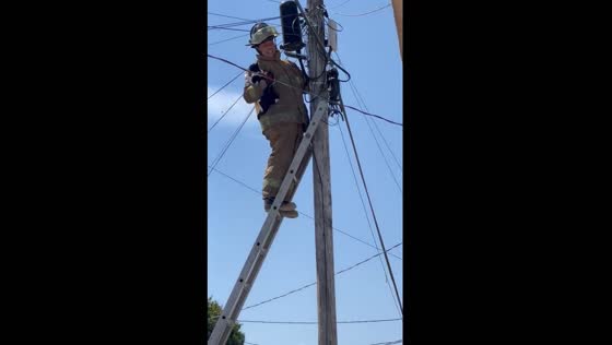 Firefighter saves cat stranded on power pole in Mexico