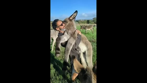 Marco embraces Luna: heartwarming moment in Sardinia