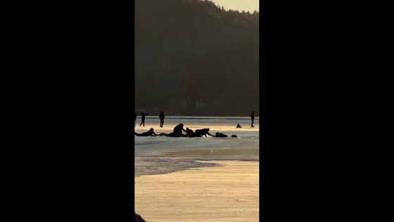 Rescuers form human chain to rescue woman and child from frozen lake in Chelyabinsk, Russia