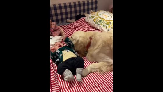 Baby and dog giggling together in Barcelona, Spain