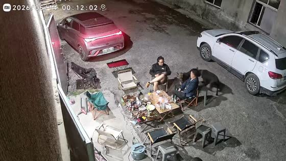 Two dogs fight beside outdoor cooking area in Liaoning, China