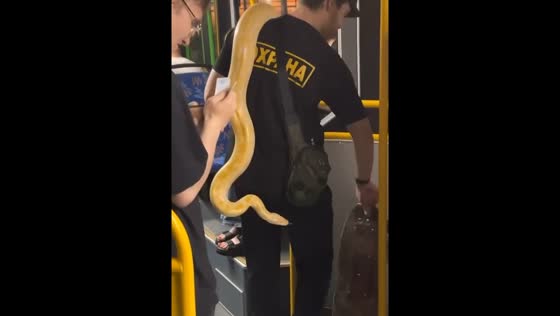 Young man carries snake on shoulder in Gomel, Belarus