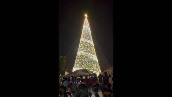 Festive Christmas light show and tree illumination in Palawan, Philippines