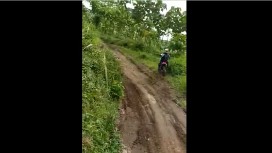 High speed motorbike riding crash on a tree!