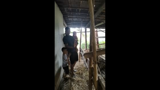 Cow responds loudly as family says goodbye in Banyumas, Indonesia