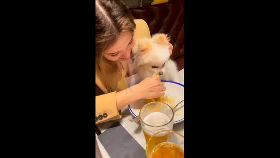 Surprise snack: Elvis the dog's sneaky bite