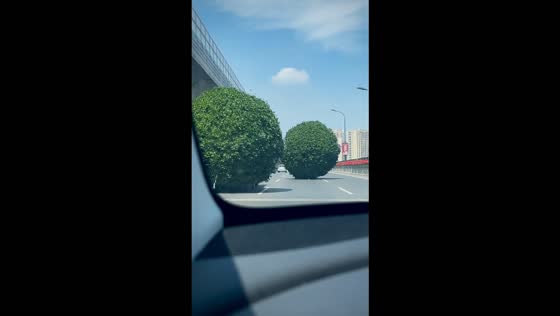 Giant broccoli-shaped topiary trees appear to drive themselves down a road in Zhejiang, China