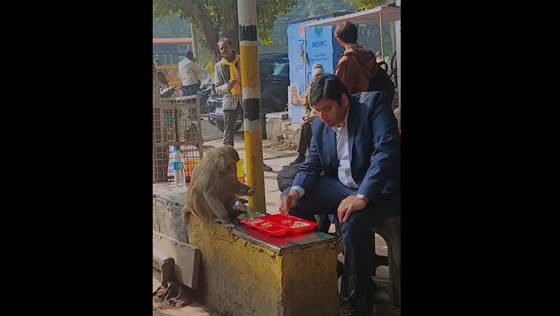 Man shares food with monkey in New Delhi