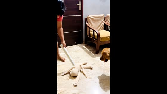 Man teaches dog a lesson using a doll in Ghaziabad, Uttar Pradesh, India