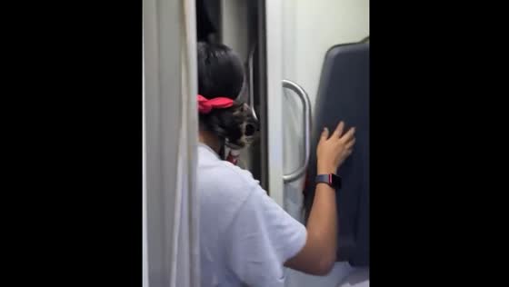 Bus door opens as person ties hair on moving vehicle in Mexico City