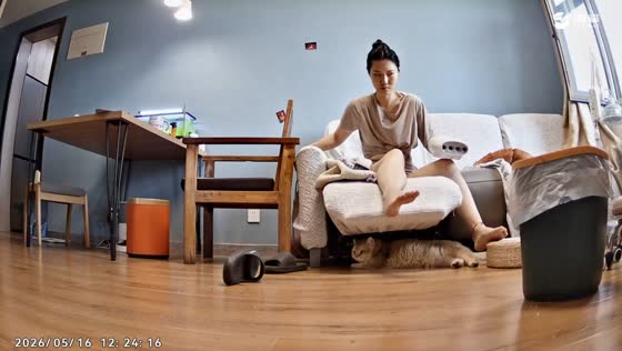 Owner frees cat trapped under recliner couch in Tianjin, China