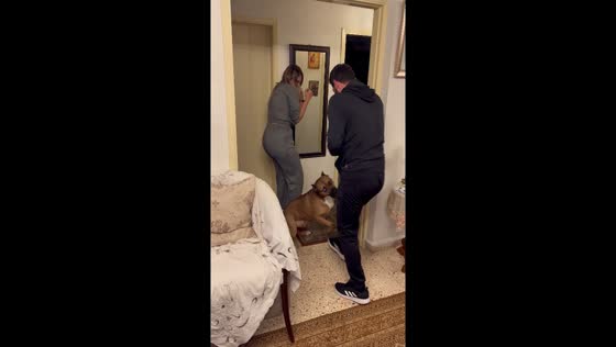 Brave Moscow: loyal dog intervenes to protect owner in playful prank video