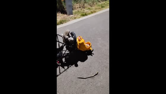 2-year-old Wu Duoduo ingeniously crawls into stroller for a ride