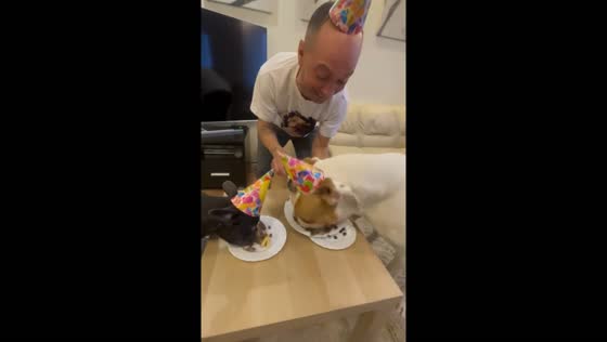 Dog celebrated with birthday song and cake in Ulyanovsk, Russia