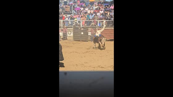Bull riding event thrills crowd in Santa Cruz, Chile