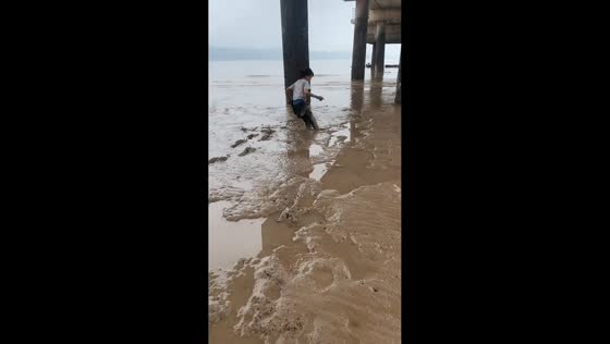 Woman finds crab while beachcombing on mudflat in Zhejiang, China