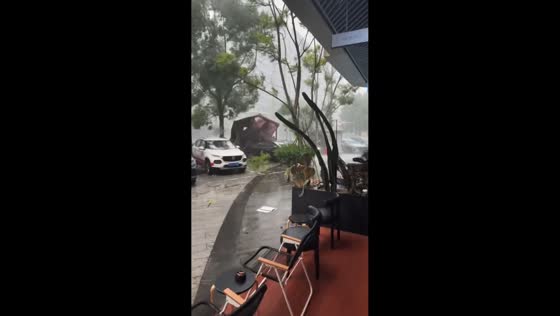 Powerful winds blow pavilion from tree during severe storm in Sichuan, China